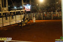 IMG_5910.jpg