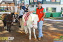 IMG_6497.jpg