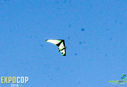 IMG_6512.jpg