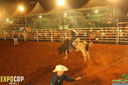 IMG_6962.jpg