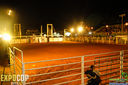 IMG_8505.jpg