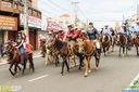 IMG_1179.jpg