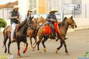 IMG_1426.jpg
