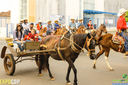 IMG_1444.jpg