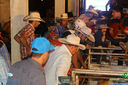 IMG_4345.jpg