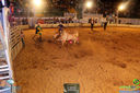 IMG_4358.jpg