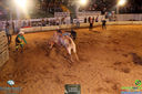 IMG_4378.jpg