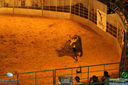 IMG_4439.jpg
