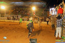 IMG_5582.jpg
