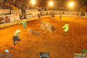 IMG_6586.jpg