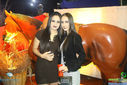 IMG_7935.jpg
