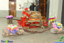 IMG_8867.jpg