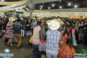 IMG_2072.jpg