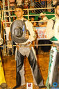 IMG_7265.jpg