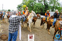 IMG_8945.jpg