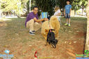IMG_6126.jpg