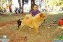 IMG_6127.jpg