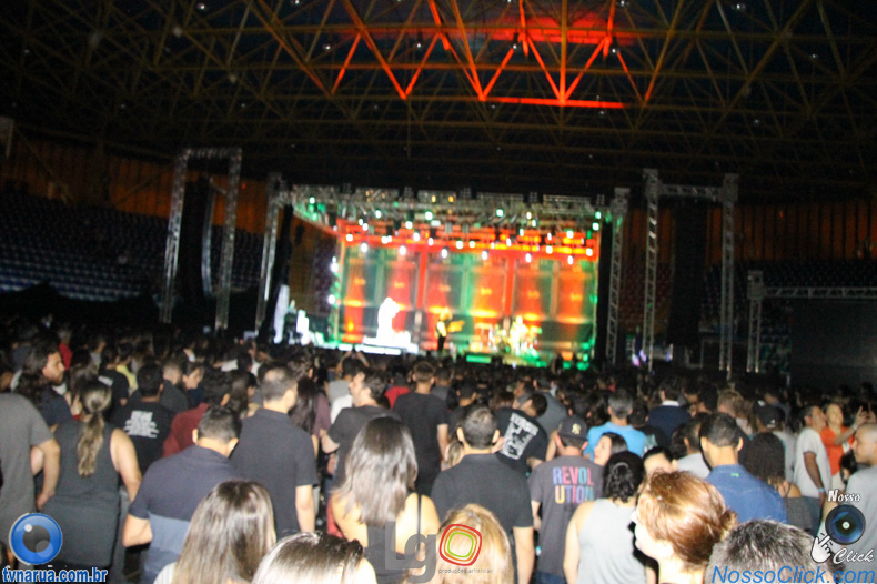 IMG_8207.jpg