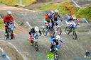IMG_8625.jpg