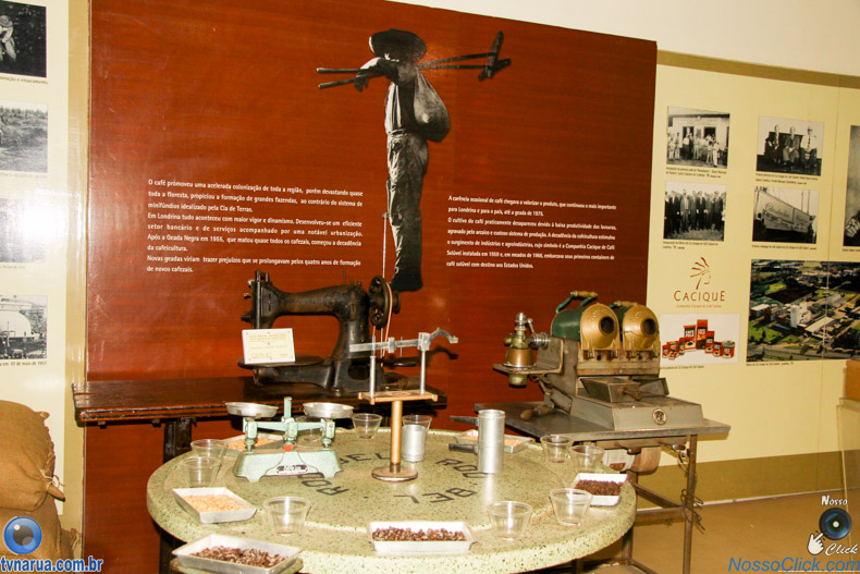 JIMG_0266.jpg