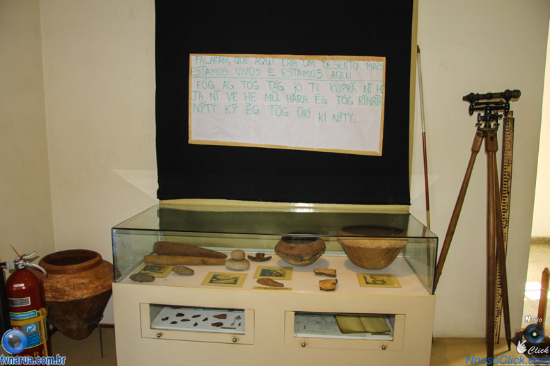 JIMG_0286.jpg