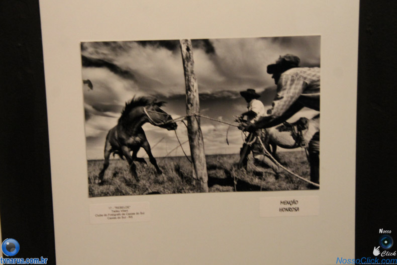 JIMG_0387.jpg