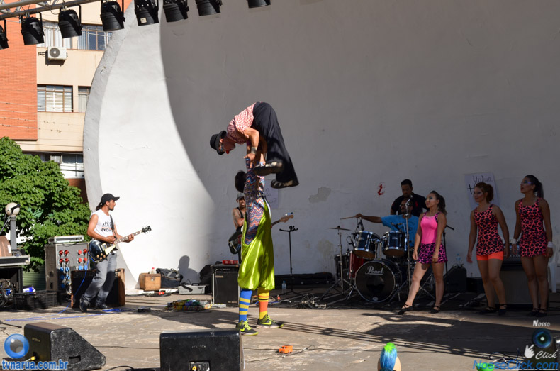 DSC_0585.jpg