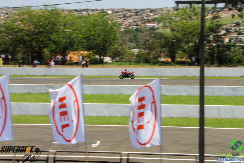 IMG_2207.jpg