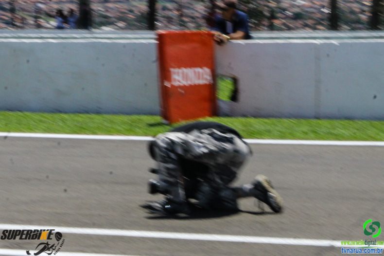 IMG_2425.jpg