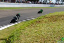 IMG_2064.jpg