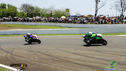 IMG_2516.jpg