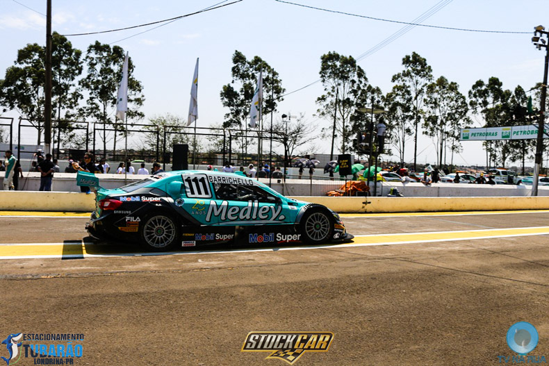 4470108.jpg