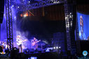 IMG_1336.jpg