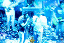 Filename=294.jpg
Filesize=281KiB
Dimensions=790x527
Date added=Nov 18, 2016 294.jpg