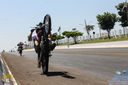 IMG_7825.jpg