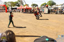 IMG_7950.jpg