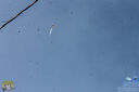 IMG_8530.jpg