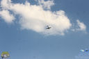 IMG_8531.jpg