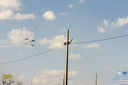 IMG_8533.jpg