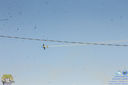 IMG_8535.jpg
