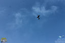 IMG_8556.jpg