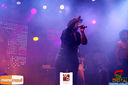 IMG_7974.jpg
