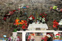 JIMG_1049.jpg