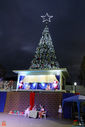 IMG_8815.jpg