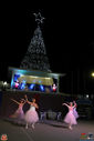 IMG_8874.jpg
