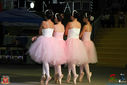 IMG_8878.jpg