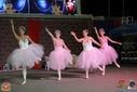 IMG_8882.jpg