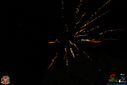 IMG_8997.jpg
