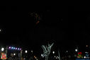 IMG_8998.jpg