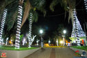 IMG_9333.jpg